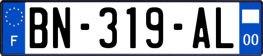 BN-319-AL