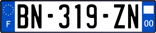 BN-319-ZN