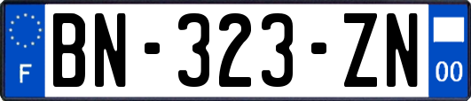 BN-323-ZN