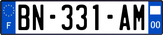 BN-331-AM