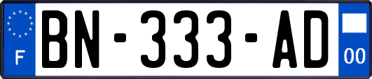 BN-333-AD