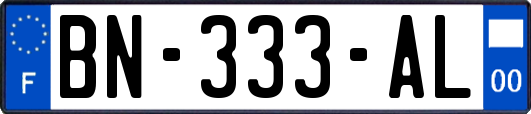 BN-333-AL