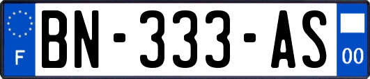 BN-333-AS