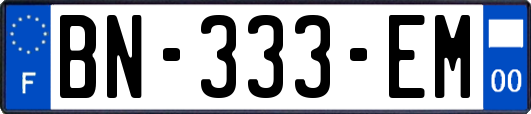 BN-333-EM