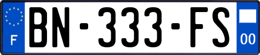 BN-333-FS