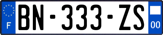 BN-333-ZS