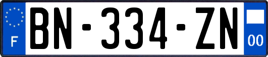 BN-334-ZN