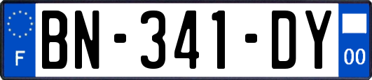 BN-341-DY