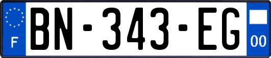 BN-343-EG