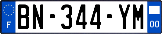 BN-344-YM