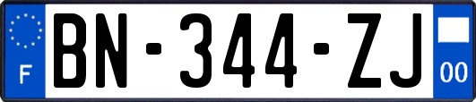 BN-344-ZJ