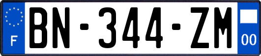 BN-344-ZM
