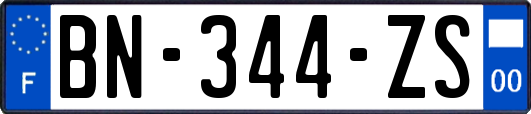 BN-344-ZS