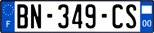 BN-349-CS