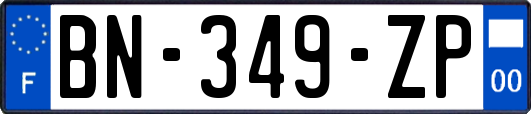 BN-349-ZP