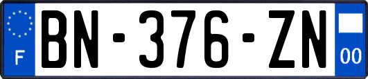 BN-376-ZN