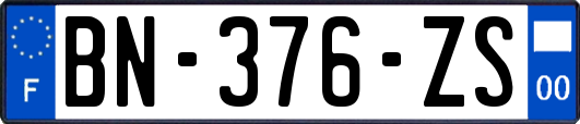 BN-376-ZS