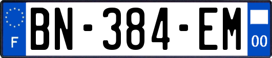BN-384-EM