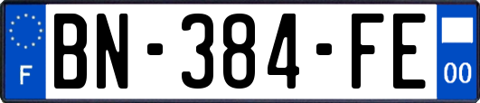 BN-384-FE