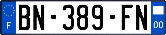 BN-389-FN