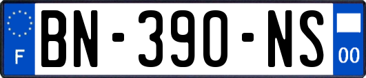 BN-390-NS