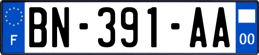 BN-391-AA