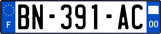 BN-391-AC