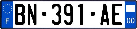 BN-391-AE