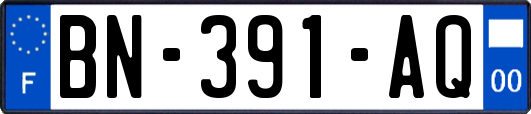BN-391-AQ