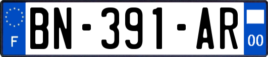 BN-391-AR