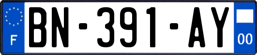 BN-391-AY