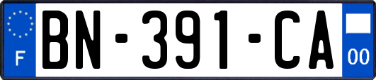 BN-391-CA