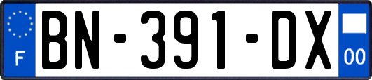 BN-391-DX