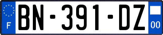 BN-391-DZ