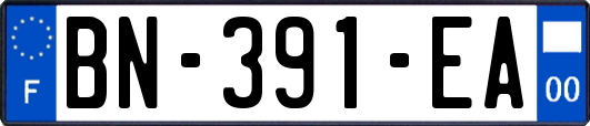 BN-391-EA
