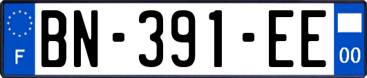 BN-391-EE