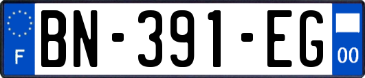 BN-391-EG