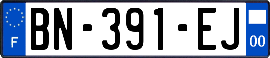 BN-391-EJ