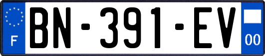 BN-391-EV
