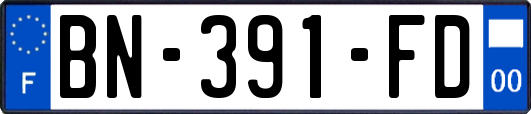 BN-391-FD