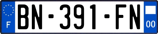BN-391-FN