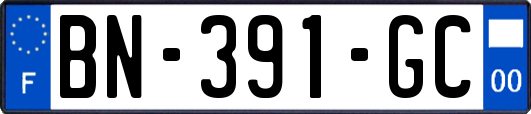 BN-391-GC