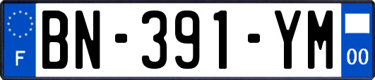 BN-391-YM