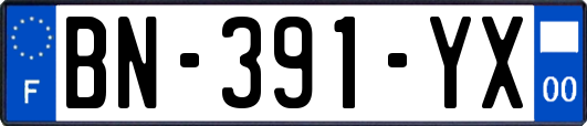 BN-391-YX