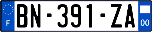 BN-391-ZA
