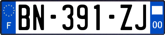 BN-391-ZJ
