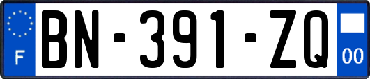 BN-391-ZQ