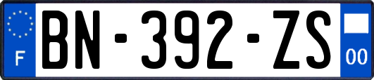 BN-392-ZS