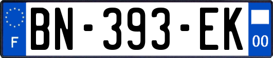 BN-393-EK
