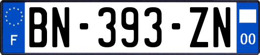 BN-393-ZN